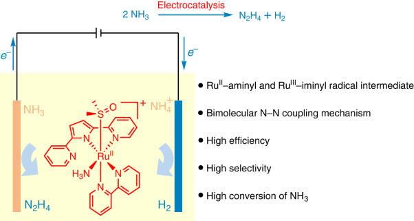 Direct synthesis of hydrazine by efficient electrochemical ruthenium-catalysed ammonia oxidation