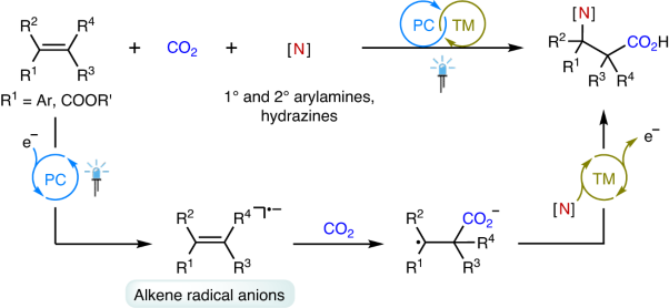 Metallaphotoredox-enabled aminocarboxylation of alkenes with CO<sub>2</sub>