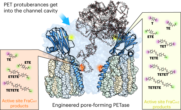 Sub-micro- and nano-sized polyethylene terephthalate deconstruction with engineered protein nanopores