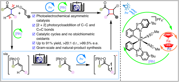 Photoelectrochemical asymmetric dehydrogenative [2 + 2] cycloaddition between C–C single and double bonds via the activation of two C(<i>sp</i><sup>3</sup>)–H bonds