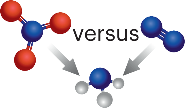 The why and how of NO<sub>x</sub> electroreduction to ammonia