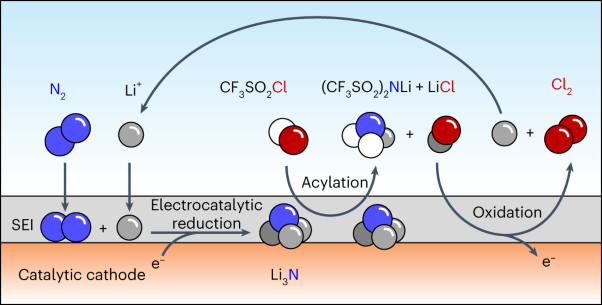 Cascade electrosynthesis of LiTFSI and N-containing analogues via a looped Li–N<sub>2</sub> battery