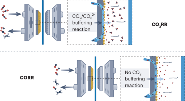 Different distributions of multi-carbon products in CO<sub>2</sub> and CO electroreduction under practical reaction conditions