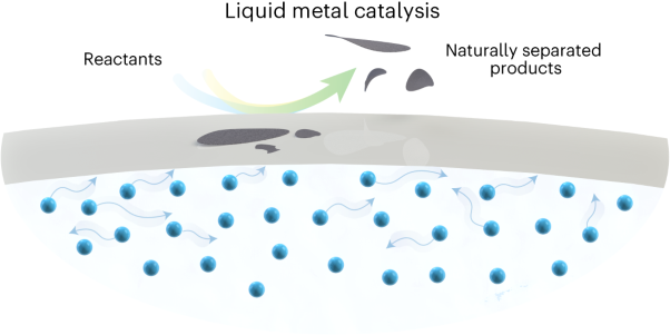 Current state and future prospects of liquid metal catalysis