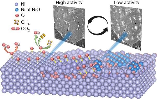 Metastable nickel–oxygen species modulate rate oscillations during dry reforming of methane