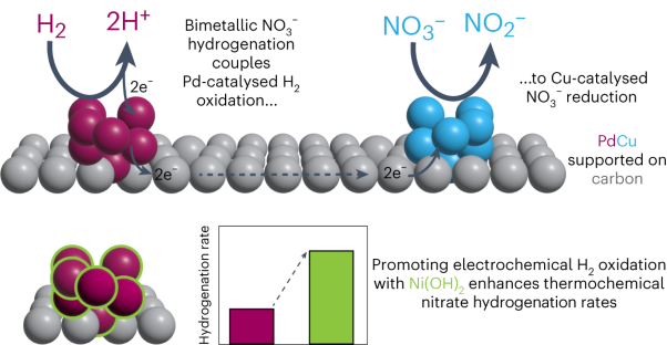 An electrochemical approach for designing thermochemical bimetallic nitrate hydrogenation catalysts