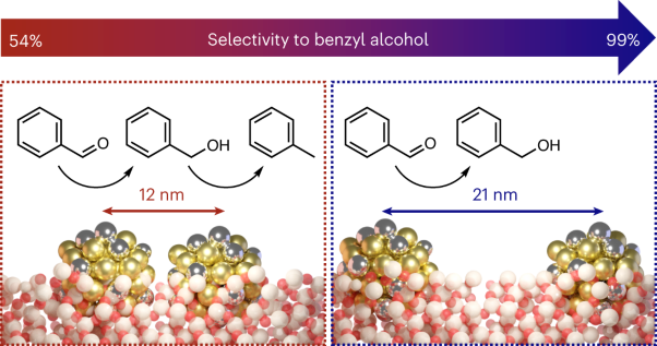 Nanoparticle proximity controls selectivity in benzaldehyde hydrogenation