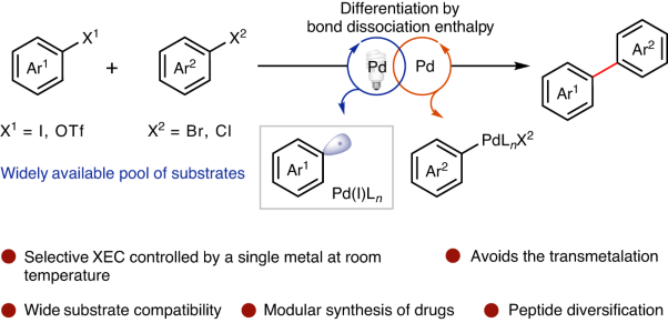 Light-induced Pd catalyst enables C(<i>sp</i><sup>2</sup>)–C(<i>sp</i><sup>2</sup>) cross-electrophile coupling bypassing the demand for transmetalation