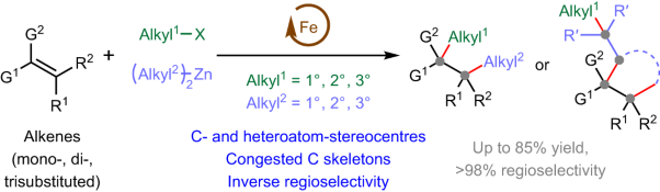 Congested C(<i>sp</i><sup>3</sup>)-rich architectures enabled by iron-catalysed conjunctive alkylation