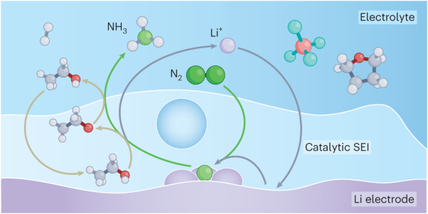 Lithium-mediated nitrogen reduction to ammonia via the catalytic solid–electrolyte interphase