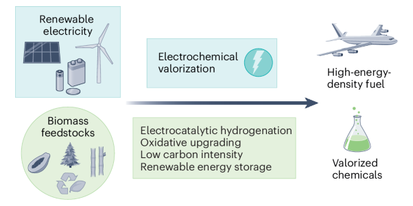 Progress and roadmap for electro-privileged transformations of bio-derived molecules