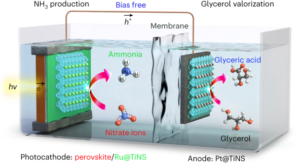 Bias-free solar NH<sub>3</sub> production by perovskite-based photocathode coupled to valorization of glycerol
