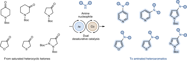 A general strategy for the amination of electron-rich and electron-poor heteroaromatics by desaturative catalysis