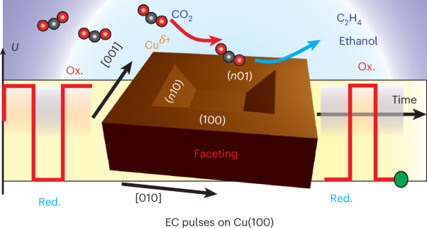 Morphological and chemical state effects in pulsed CO<sub>2</sub> electroreduction on Cu(100) unveiled by correlated spectro-microscopy