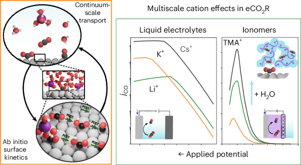 Microenvironment effects in electrochemical CO<sub>2</sub> reduction from first-principles multiscale modelling