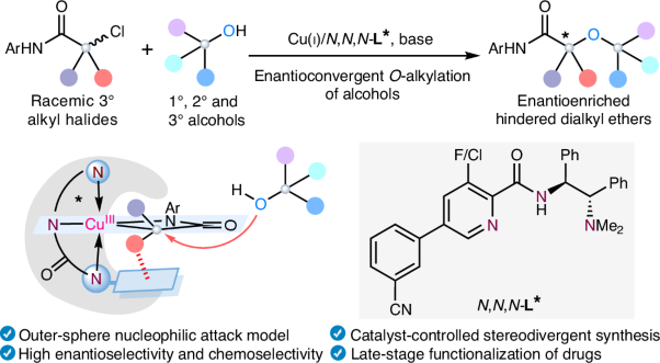 Copper-catalysed enantioconvergent <i>O</i>-alkylation of alcohols with racemic α-tertiary haloamides to access enantioenriched hindered dialkyl ethers
