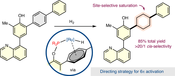 Site-selective Ru-catalysed saturation of unactivated arenes via directed 6π activation