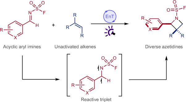 A modular synthesis of azetidines from reactive triplet imine intermediates using an intermolecular aza Paternò–Büchi reaction