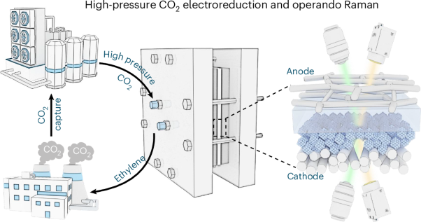 Electrocatalytic upcycling of high-pressure captured CO<sub>2</sub> to ethylene