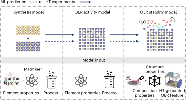 Stable acidic oxygen-evolving catalyst discovery through mixed accelerations