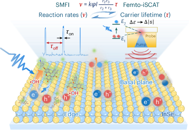 Nanoscale correlation of single-molecule reactivity and charge carrier dynamics in a two-dimensional layered InSe photocatalyst