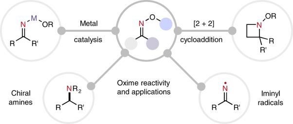 Reactivity of oximes for diverse methodologies and synthetic applications