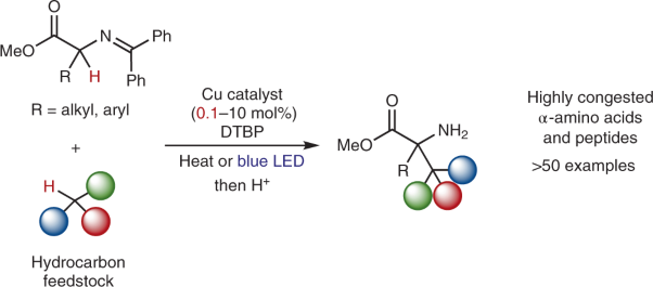 α-Amino acid and peptide synthesis using catalytic cross-dehydrogenative coupling