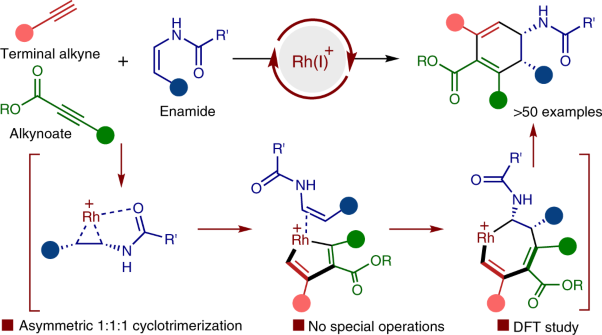 Stereoselective cyclohexadienylamine synthesis through rhodium-catalysed [2+2+2] cyclotrimerization