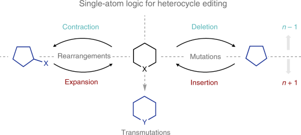 Single-atom logic for heterocycle editing