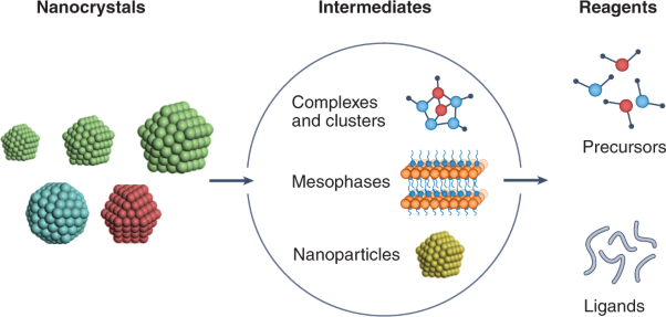 Reaction intermediates in the synthesis of colloidal nanocrystals