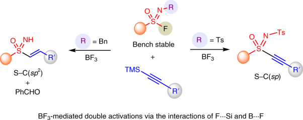 Divergent sulfur(VI) fluoride exchange linkage of sulfonimidoyl fluorides and alkynes