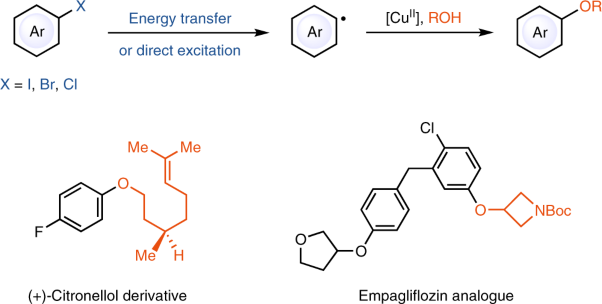 Copper-mediated etherification via aryl radicals generated from triplet states