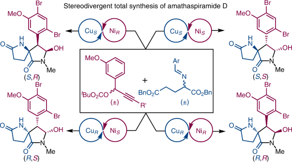 Catalytic stereodivergent total synthesis of amathaspiramide D