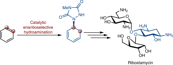 Synthesis of (+)-ribostamycin by catalytic, enantioselective hydroamination of benzene