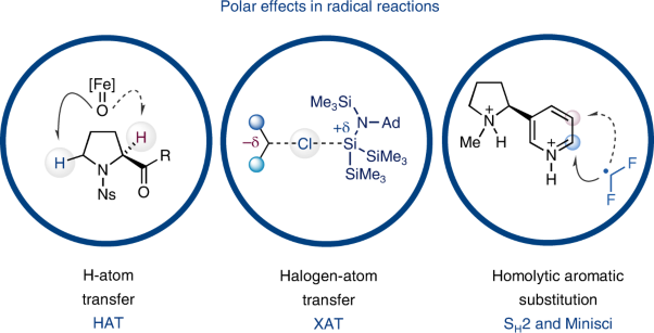 The interplay of polar effects in controlling the selectivity of radical reactions