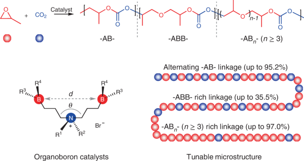 Precision copolymerization of CO<sub>2</sub> and epoxides enabled by organoboron catalysts
