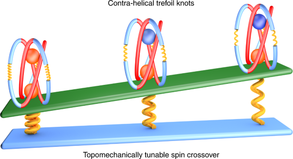 Synthesis of contra-helical trefoil knots with mechanically tuneable spin-crossover properties