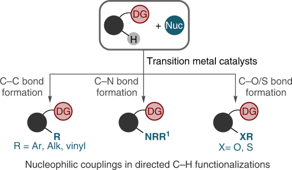 Transition metal-catalysed directed C–H functionalization with nucleophiles