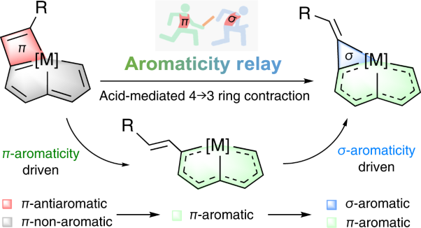 Ring contraction of metallacyclobutadiene to metallacyclopropene driven by <i>π</i>- and <i>σ</i>-aromaticity relay