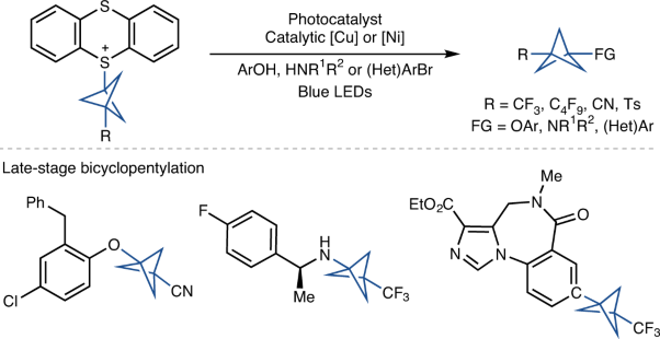 <i>O-, N-</i> and <i>C-</i>bicyclopentylation using thianthrenium reagents