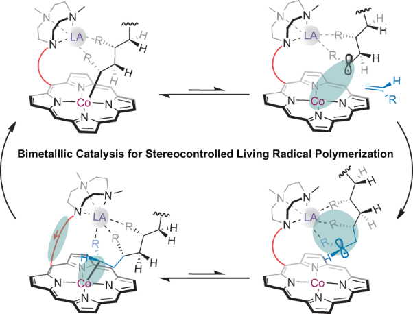 Rare earth–cobalt bimetallic catalysis mediates stereocontrolled living radical polymerization of acrylamides