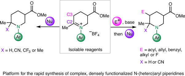 Isolable iminium ions as a platform for N-(hetero)aryl piperidine synthesis
