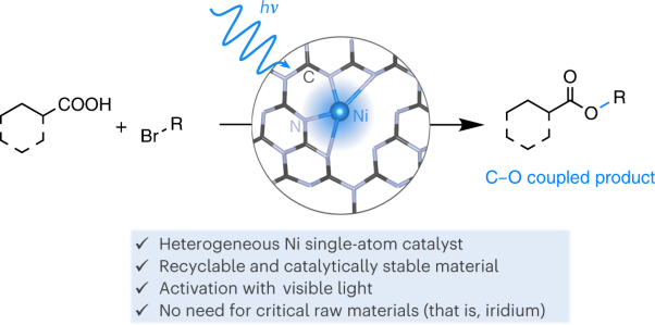 Light-driven C–O coupling of carboxylic acids and alkyl halides over a Ni single-atom catalyst