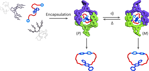 Enantiocontrolled macrocyclization by encapsulation of substrates in chiral capsules