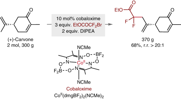 Cobalt-catalysed allylic fluoroalkylation of terpenes