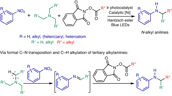 Metallaphotocatalytic synthesis of anilines through tandem C–N transposition and C–H alkylation of alkylamines
