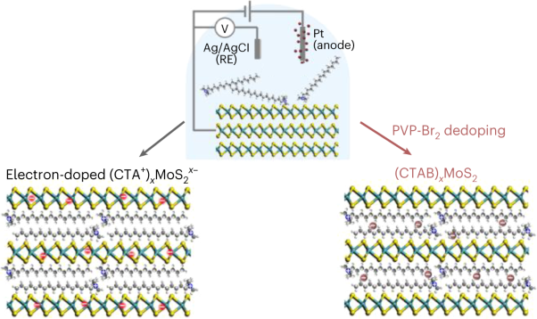 A chemical-dedoping strategy to tailor electron density in molecular-intercalated bulk monolayer MoS<sub>2</sub>