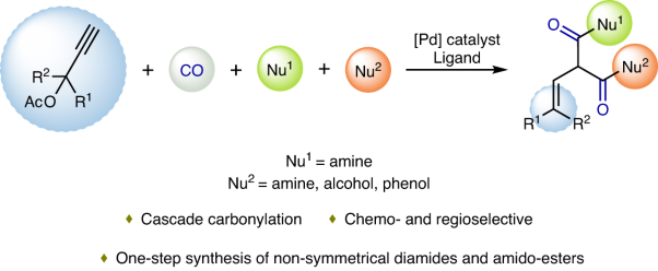 Synthesis of non-equivalent diamides and amido-esters via Pd-catalysed carbonylation