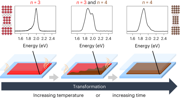 Synthesis of 2D perovskite crystals via progressive transformation of quantum well thickness