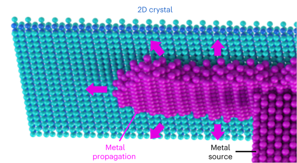 Surface-confined two-dimensional mass transport and crystal growth on monolayer materials